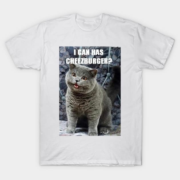 I Can Haz Cheezburger? T-Shirt by FlashmanBiscuit